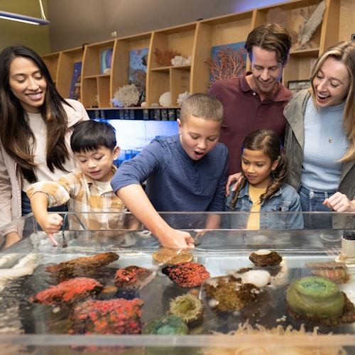 Vancouver Aquarium: Entry Ticket — gallery 3