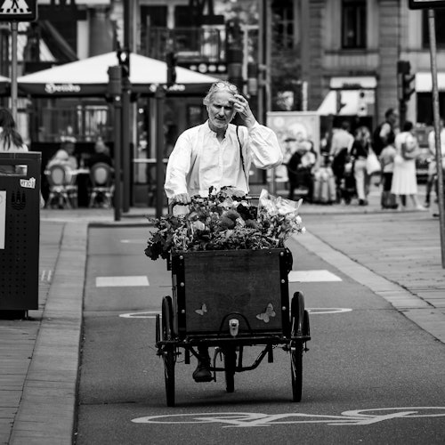 Copenhagen: Guided Bike Tour in French — gallery 2