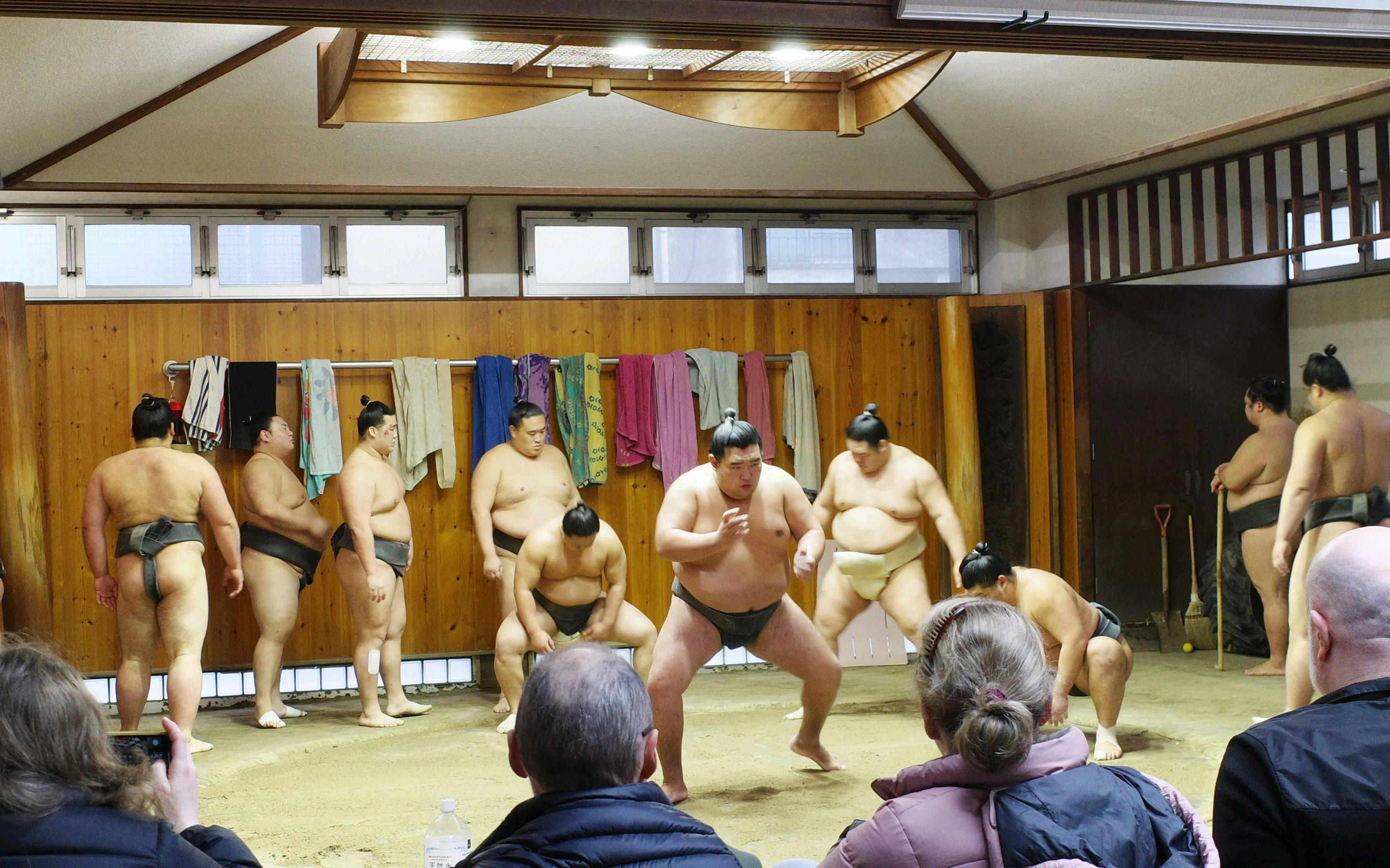 Premium Professional Sumo Morning Practice Experience in Asakusa