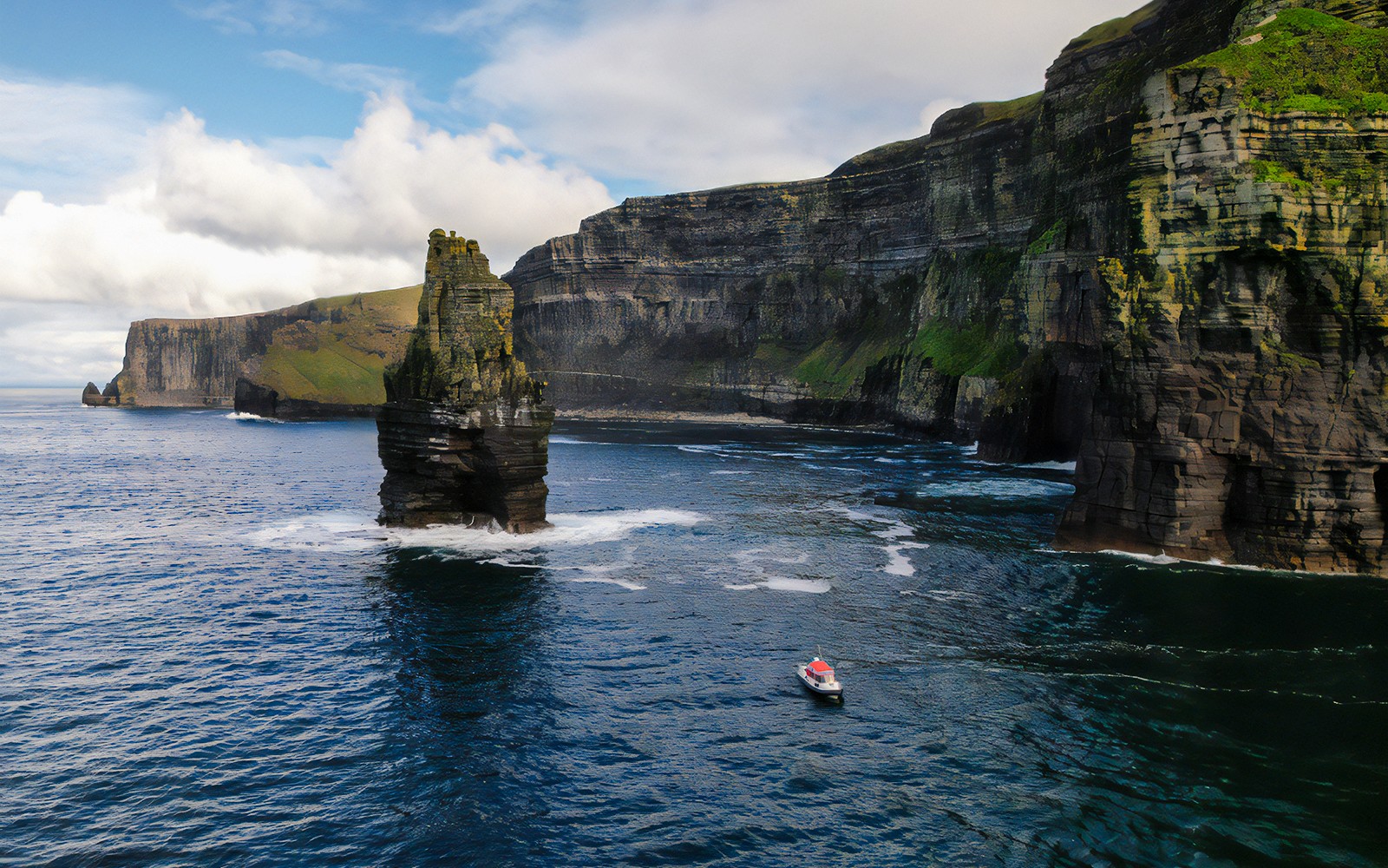 From Dublin: Birds of Prey, Aillwee Cave & Cliffs of Moher