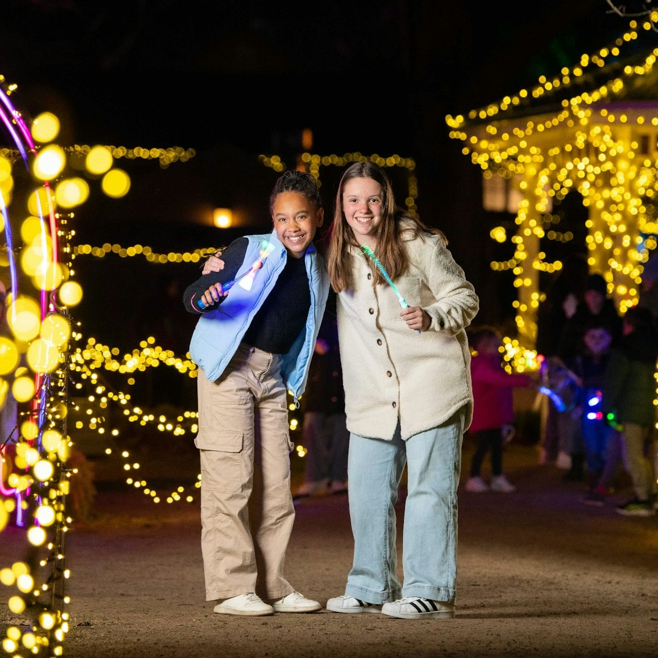 Sovereign Hill: Winter Wonderlights Entry Ticket