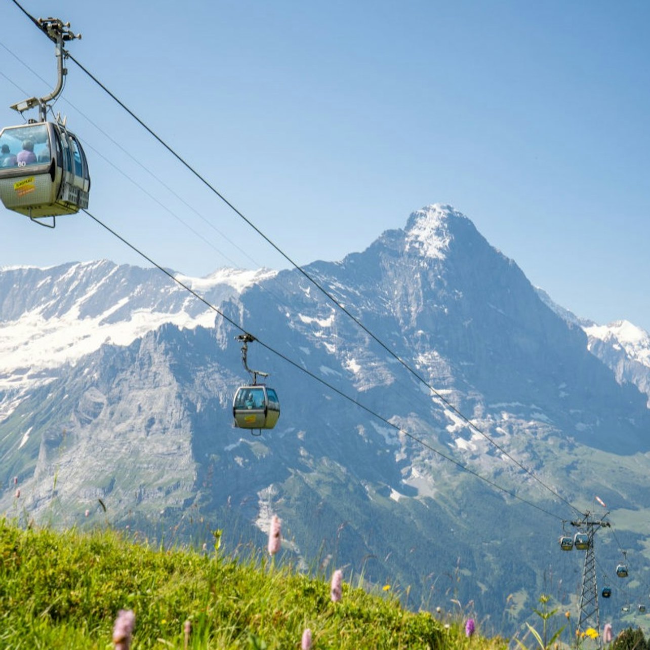 Grindelwald First: Roundtrip Gondola to Cliff Walk from Grindelwald