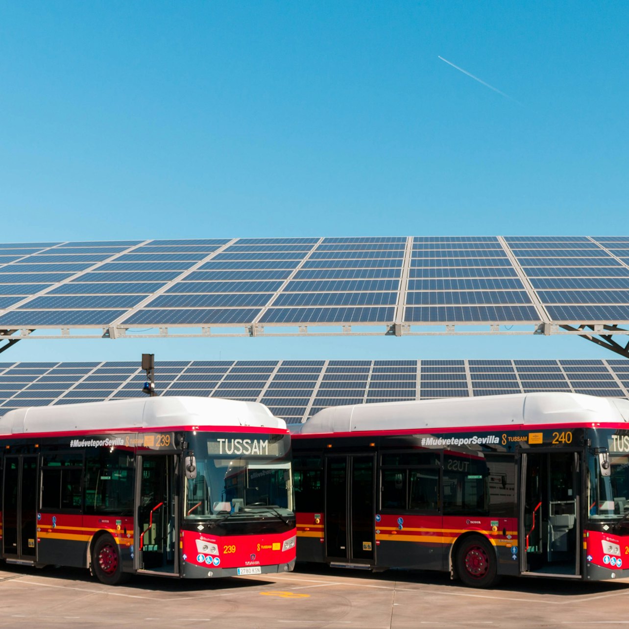 Seville Roundtrip Airport Transfer