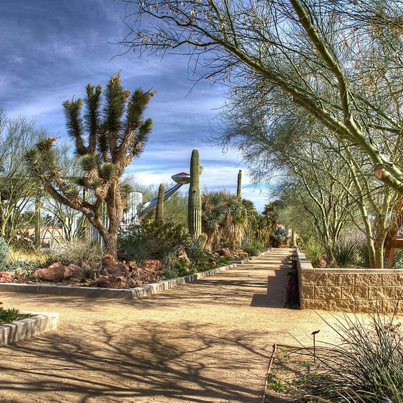 Springs Preserve & Nevada State Museum — gallery 1