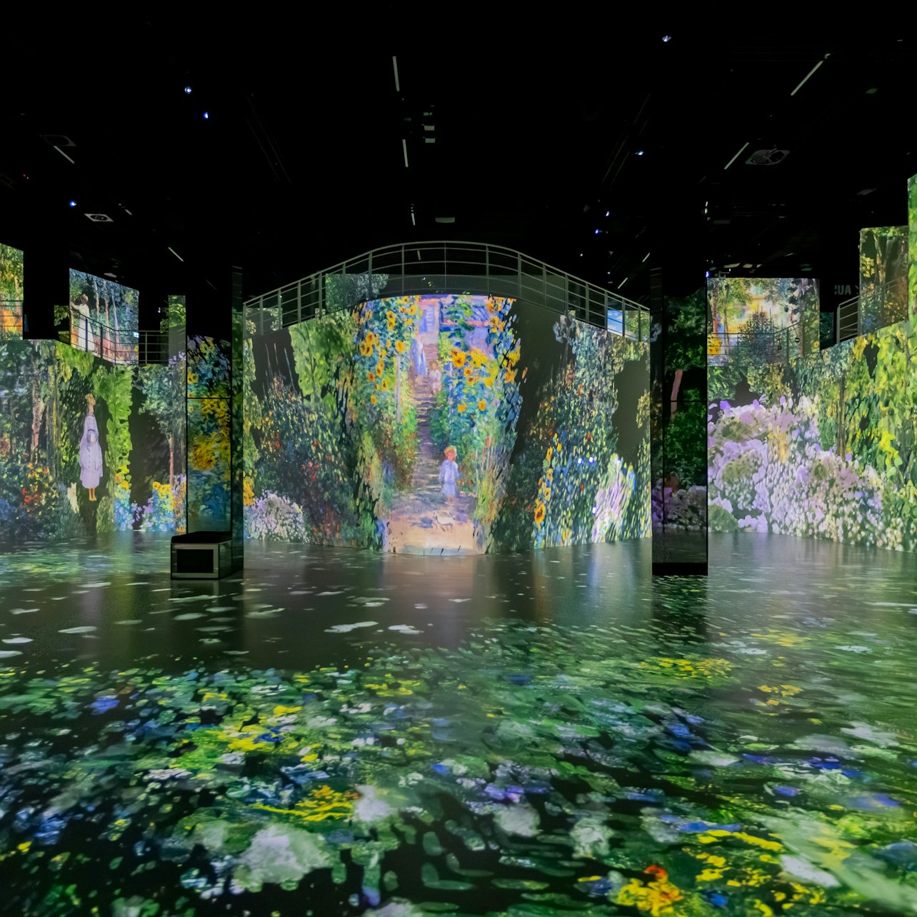Water-lily imagery in the Monet presentation