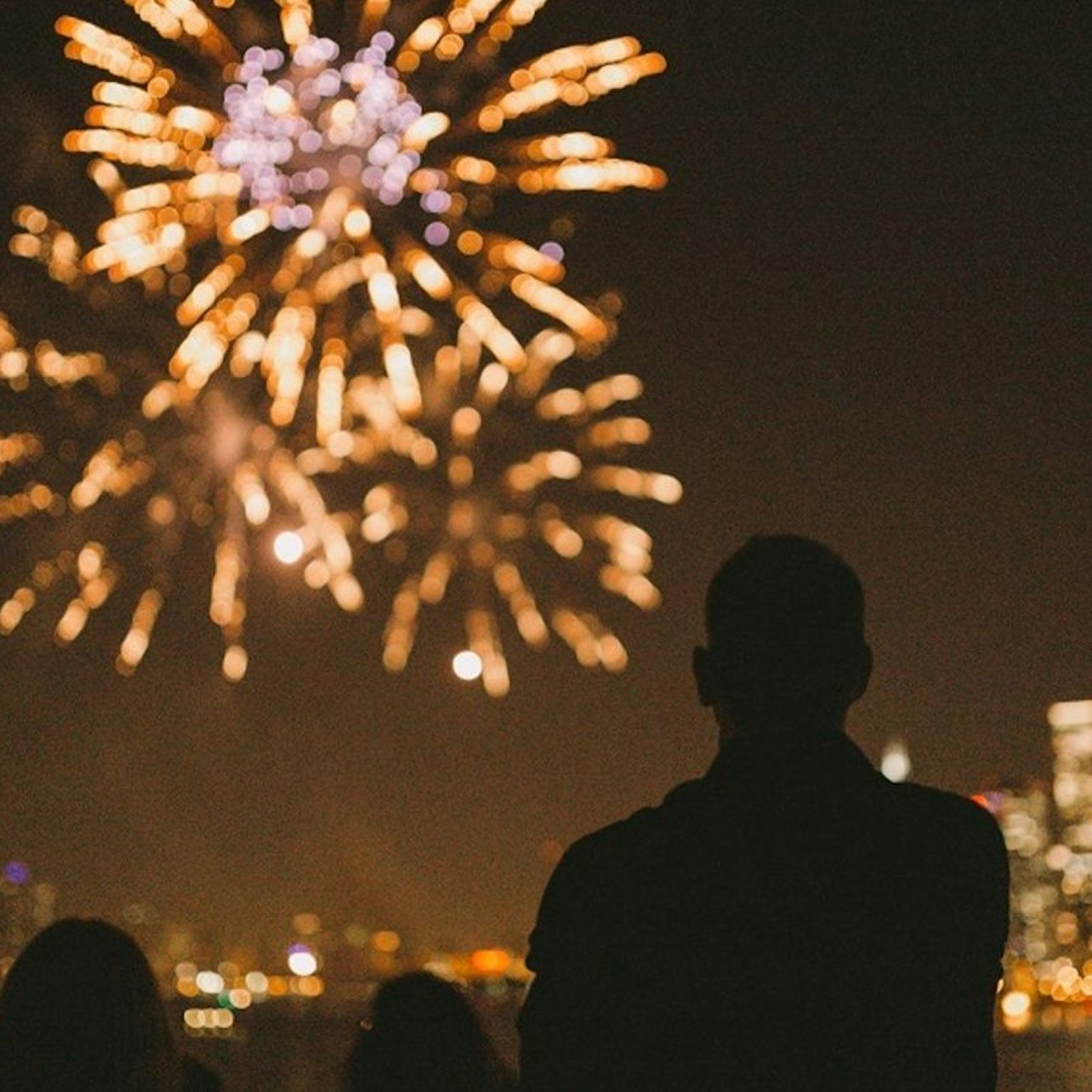 Chicago Lakefront Fireworks Cruise
