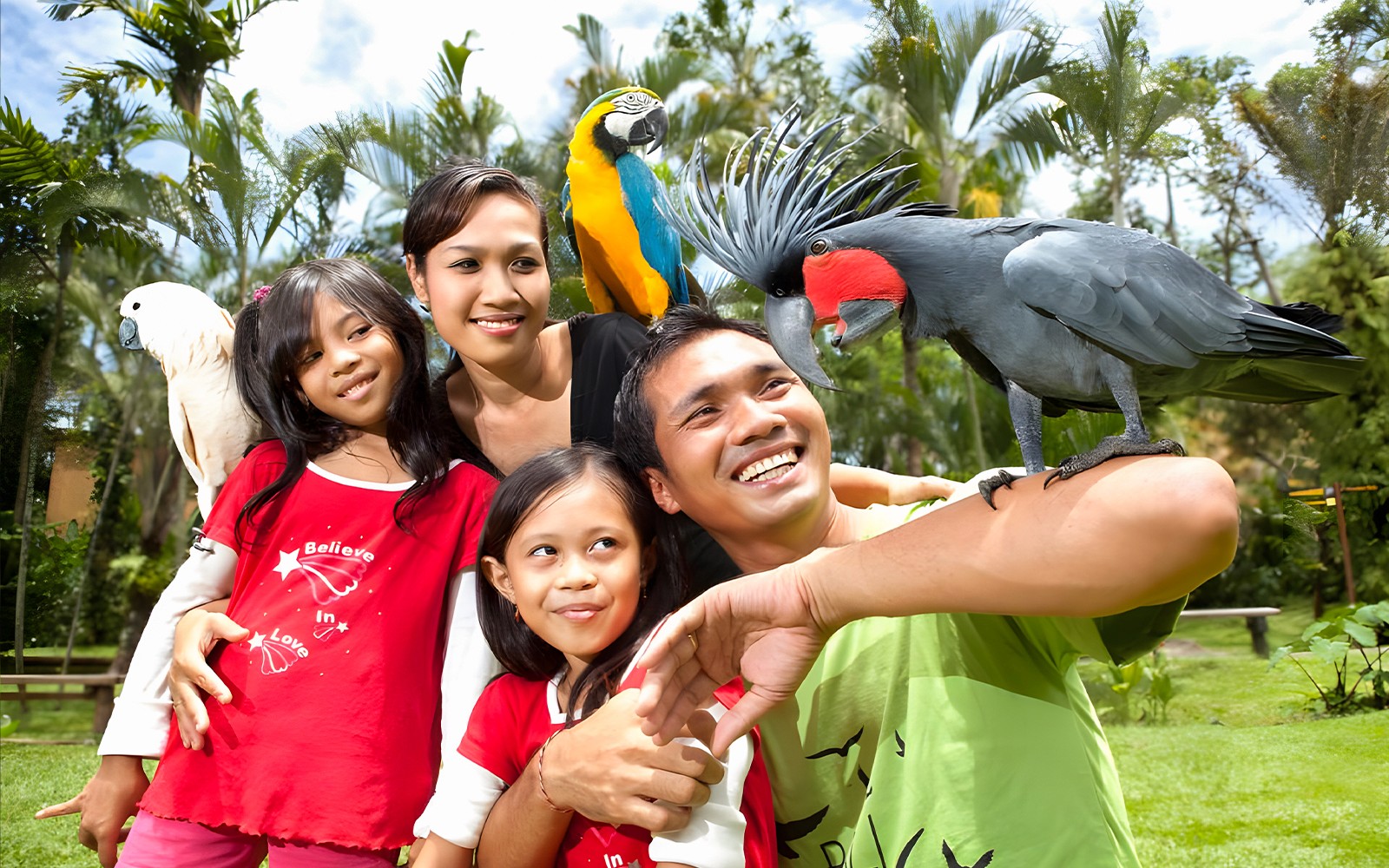 Bali Bird Park Group Saver Tickets: Group of 3 & More — gallery 3