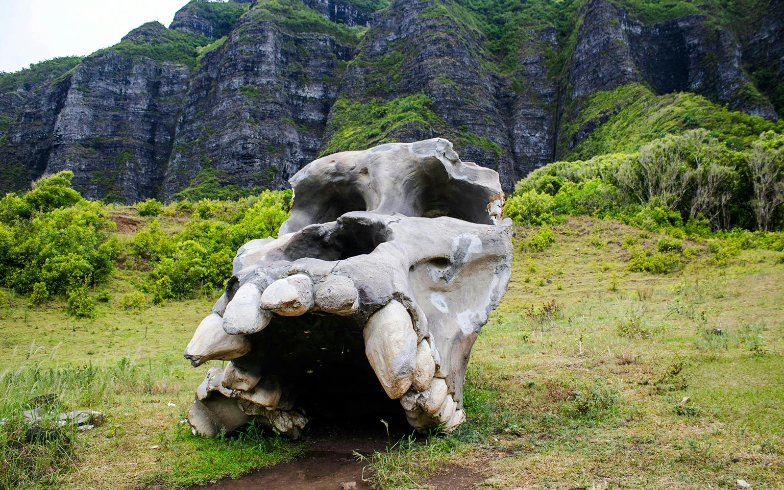 Kualoa Ranch: All-Inclusive Package