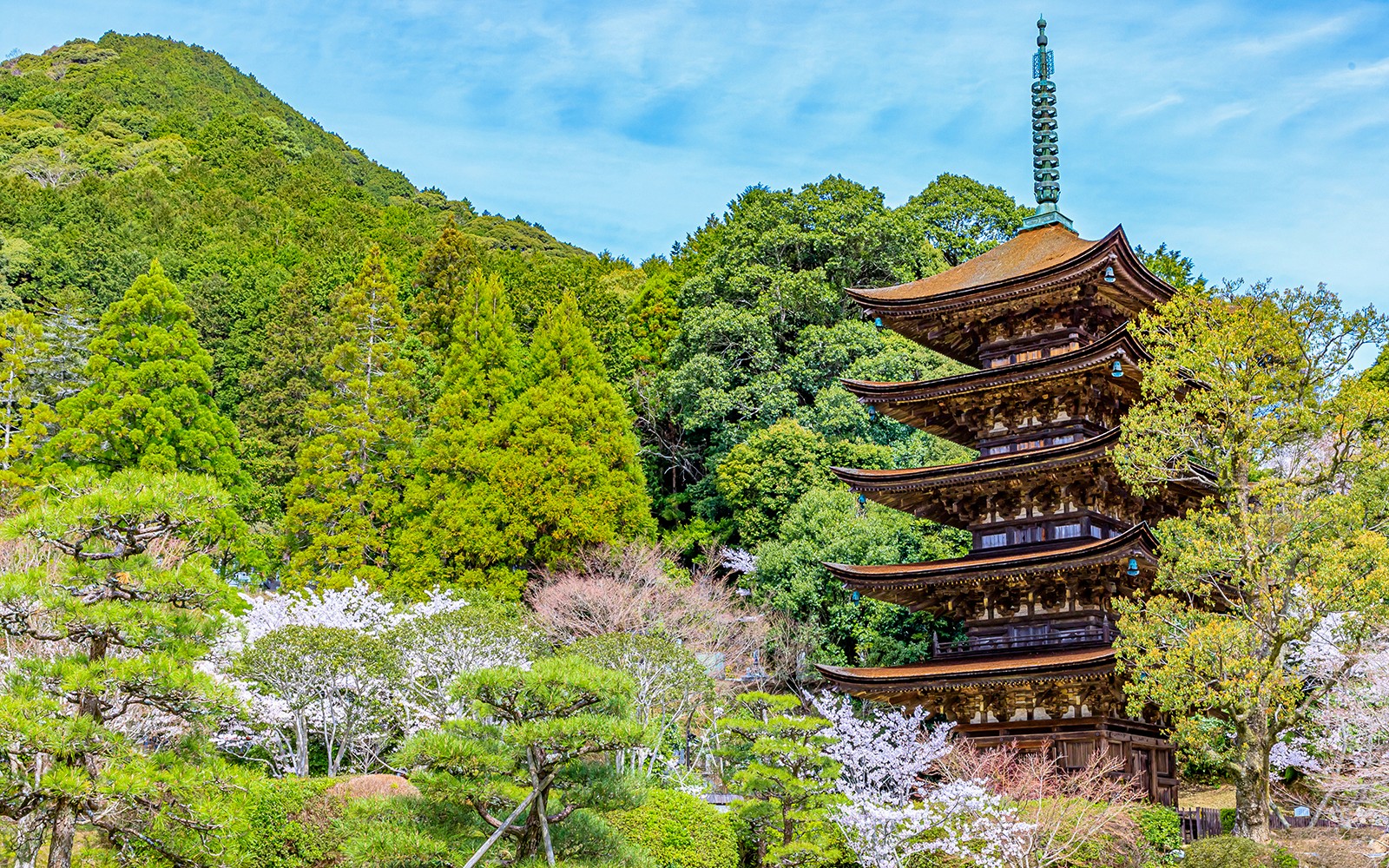 7 Day JR Setouchi Area pass