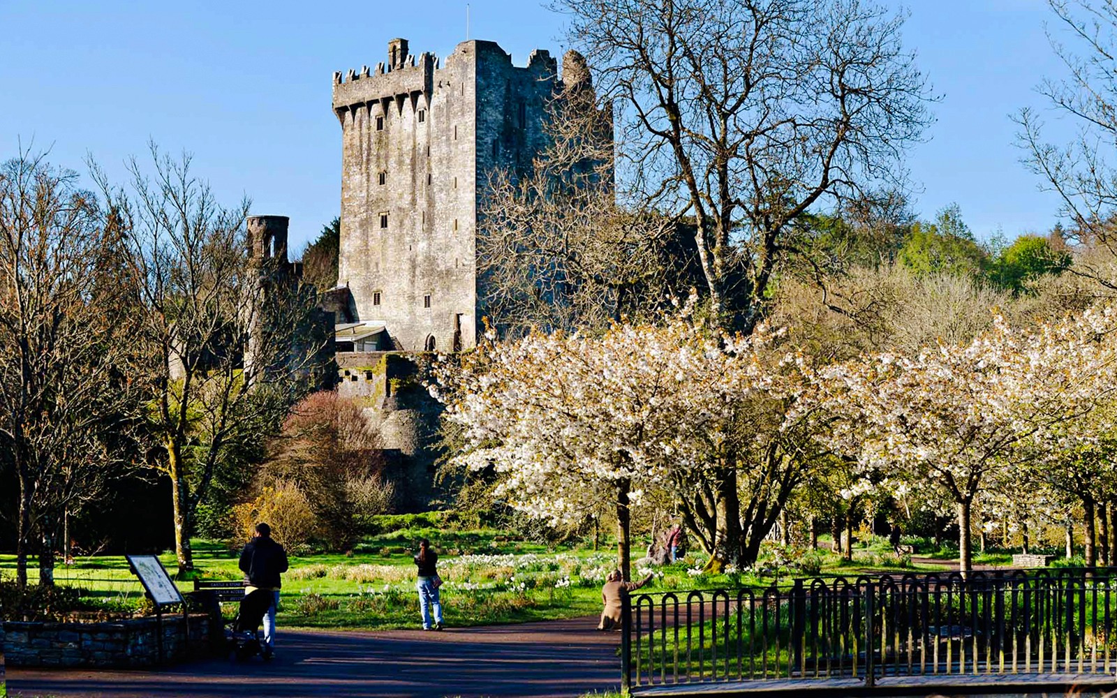 From Dublin: Blarney, Rock of Cashel & Cahir Castles Full-Day Tour