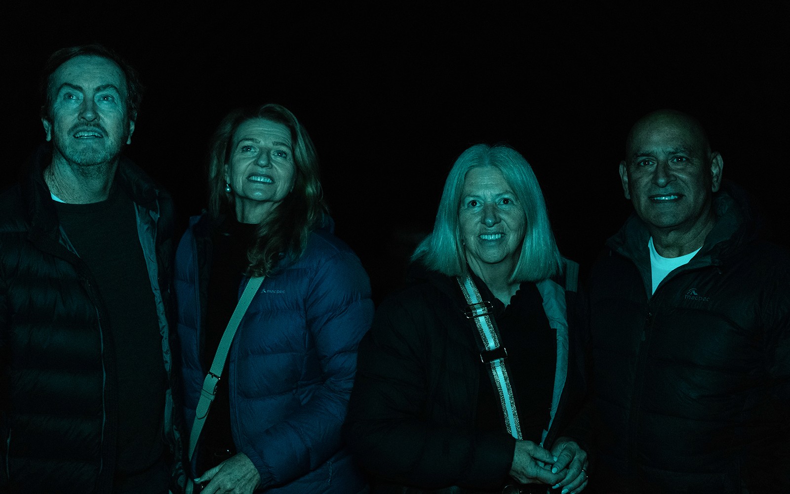 Gold Coast: Mt Tamborine Rainforest Night Walk with Glow Worms & Waterfall — gallery 2