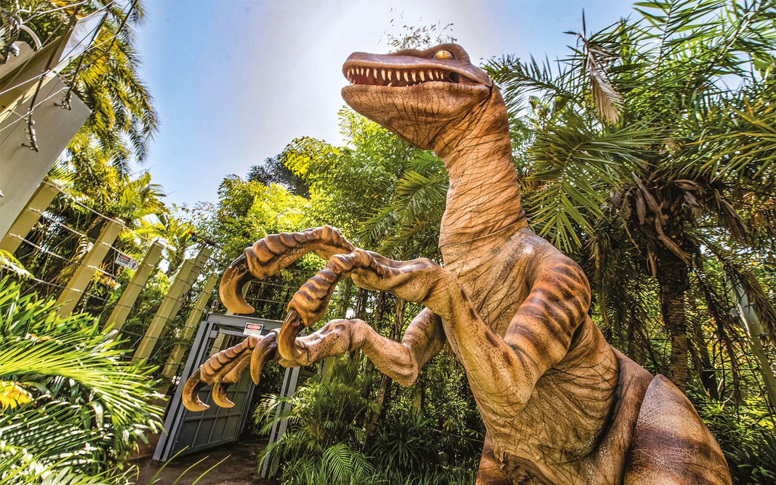Universal Studios Orlando 1-Day Tickets + Express Pass (One Time per Ride)