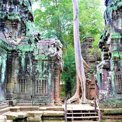 Angkor Wat: Full Day Guided Tour