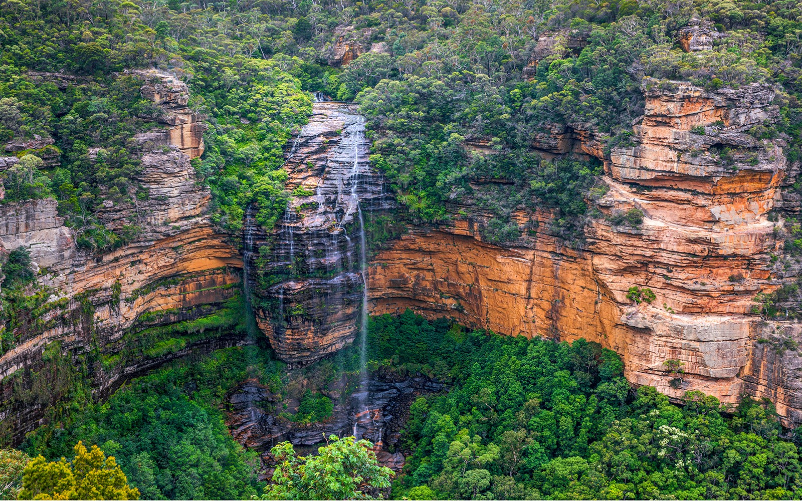 Blue Mountains Off the Beaten Path Guided Bushwalks, Secret Lookouts & BBQ Lunch