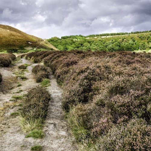 Whitby & The North York Moors: Day Trip from York — gallery 1