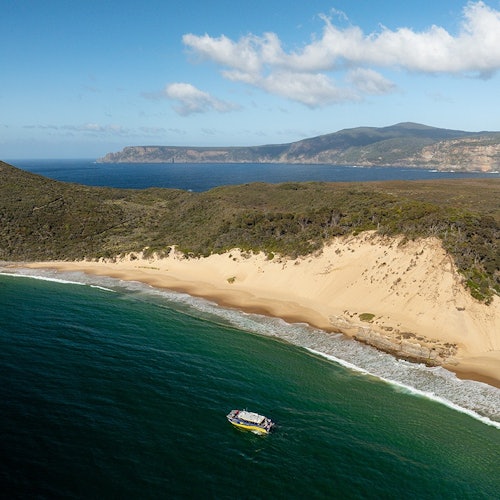 Cape Raoul: Guided Tour from Hobart + Port Arthur Historic Site Entry + Cruise — gallery 1
