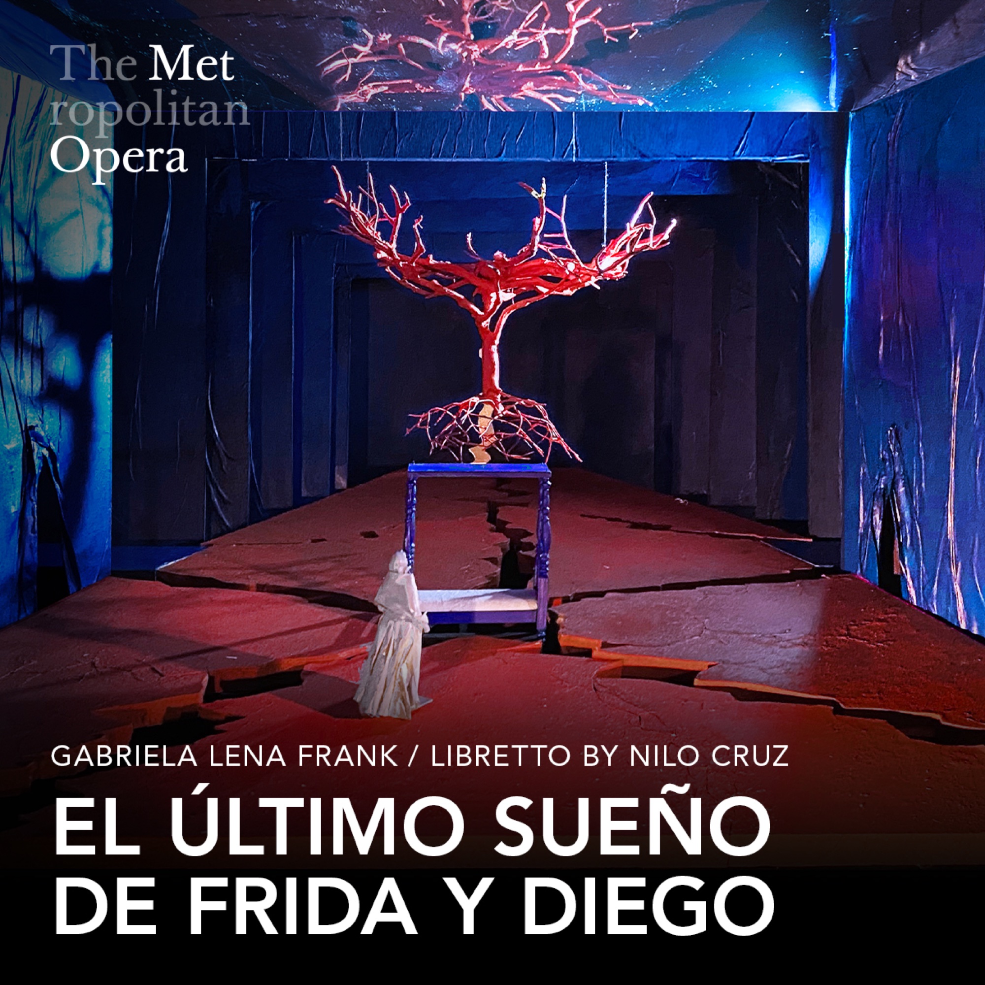 آخرین رؤیای فریدا و دیگو tickets at Metropolitan Opera House, New York, photo 1