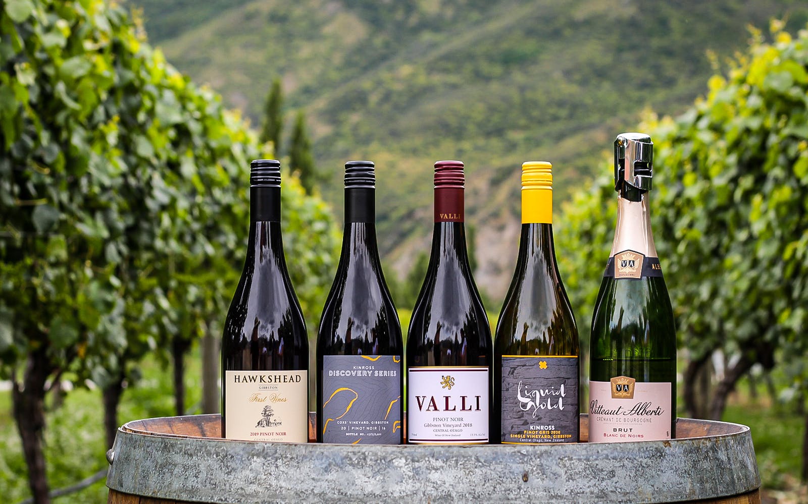 Classic Wine Tour from Queenstown
