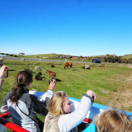 Madeira: Guided Open-Top 4X4 Jeep Tour — gallery 2