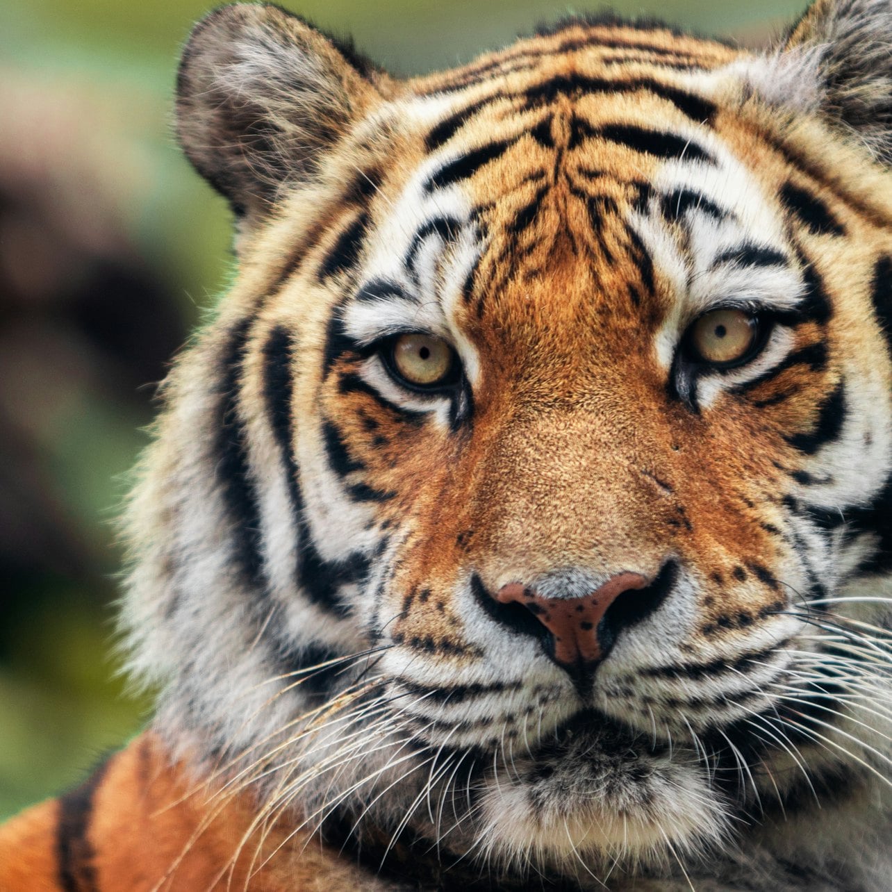 Zoo Santo Inácio: Skip The Line Ticket — gallery 3