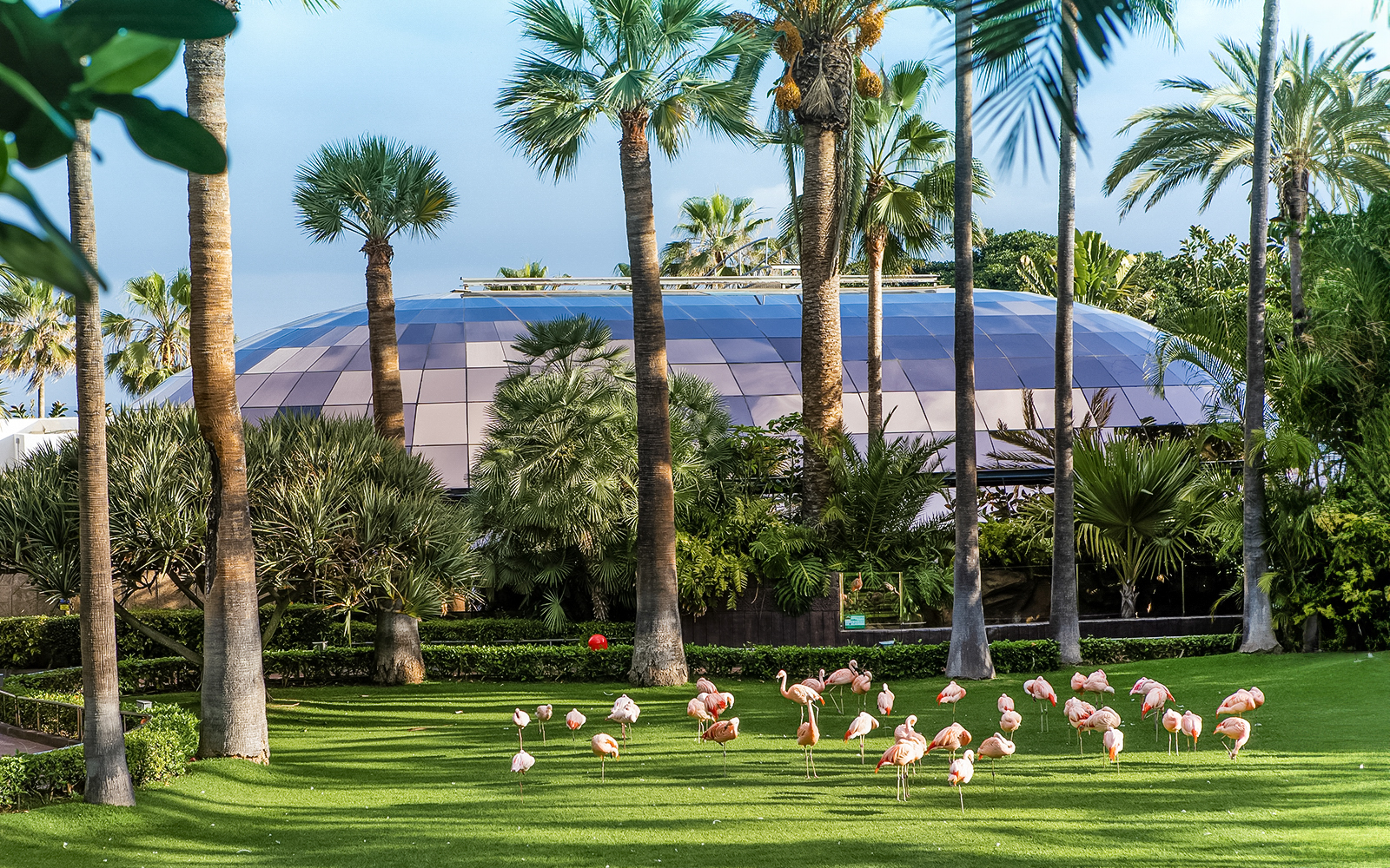 Loro Parque: Bilet de intrare — gallery 2