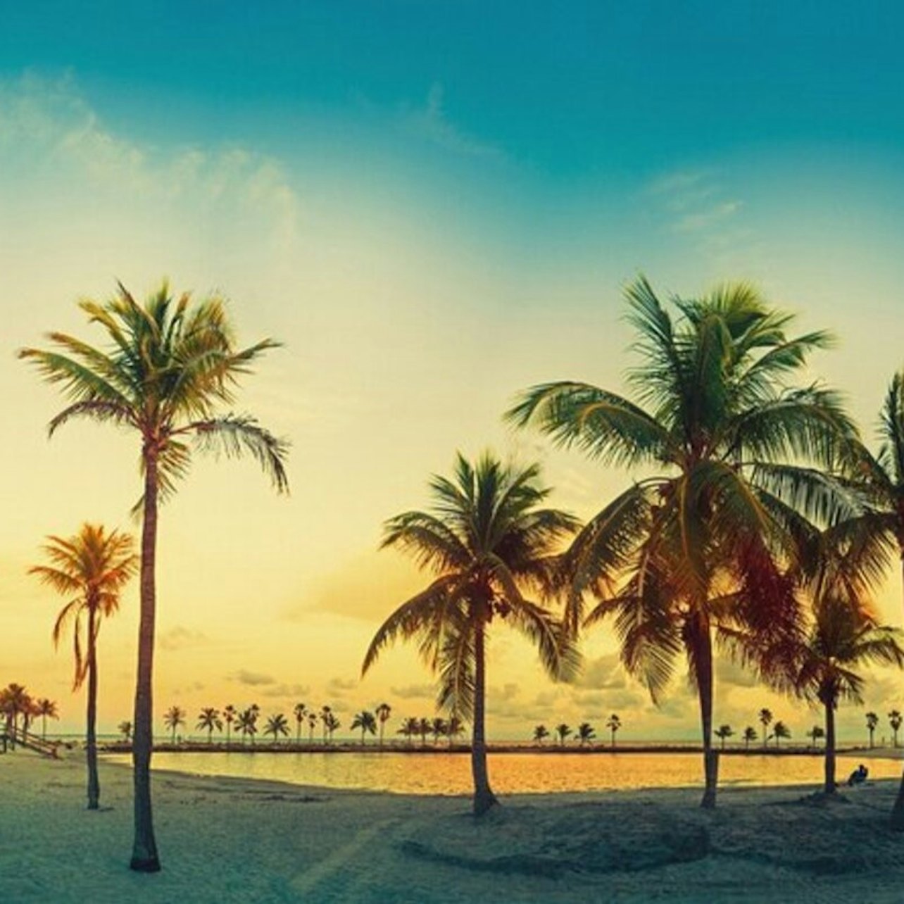Big Bus Miami: Sightseeing Tour by Night