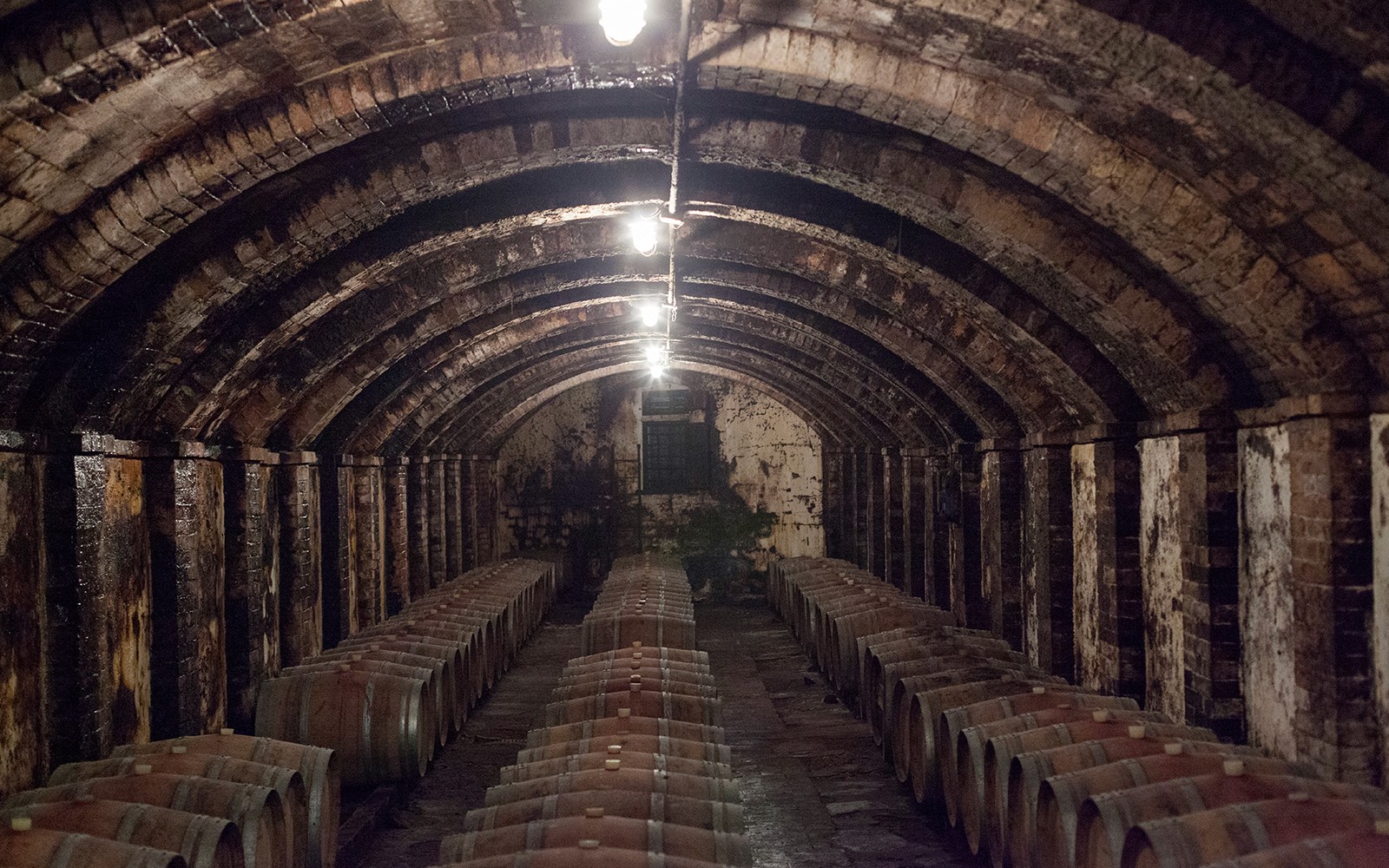 VIP Semi-Private Super Tuscan Wine Tour with a Masterclass by a Wine Expert — gallery 3