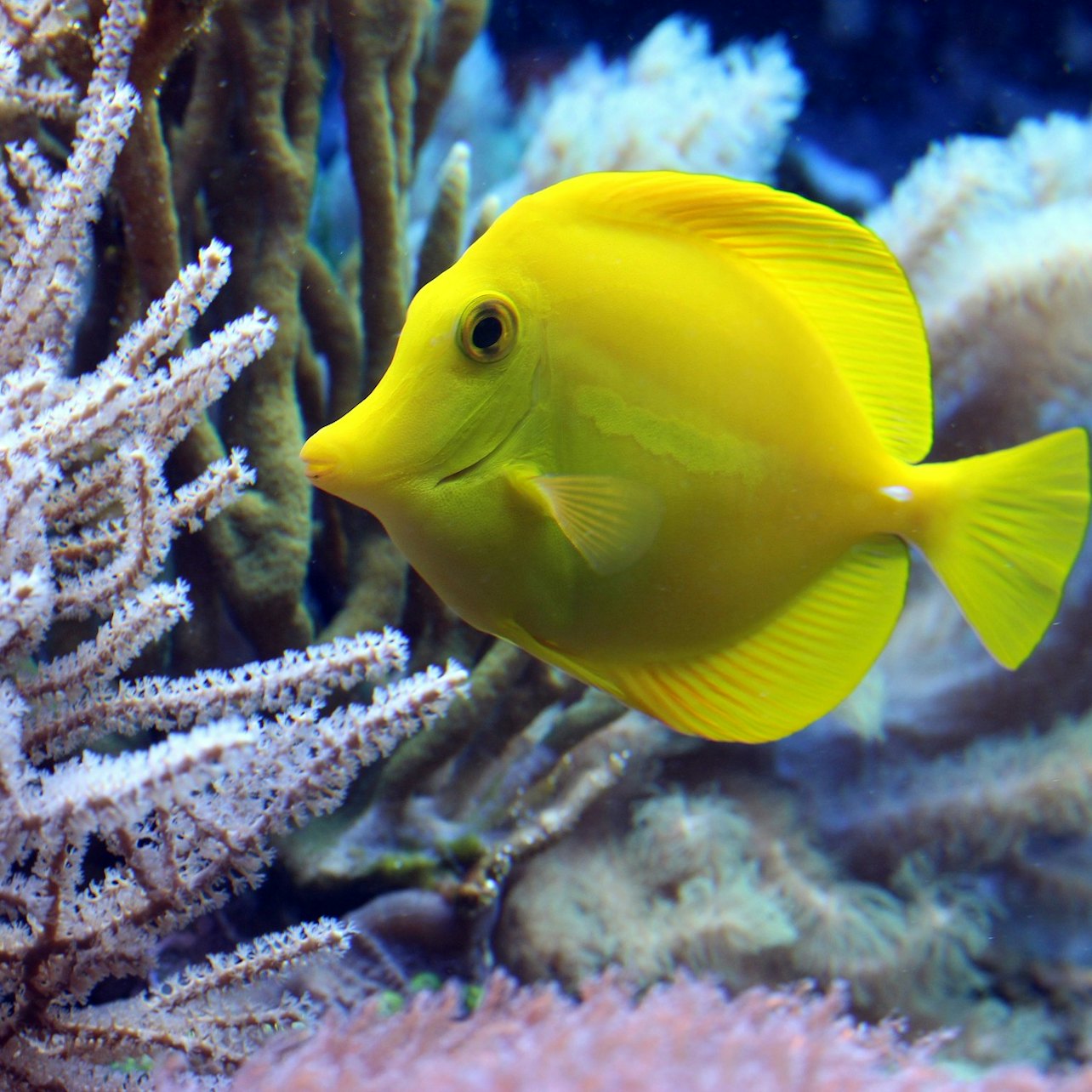 SEA LIFE Paris Aquarium
