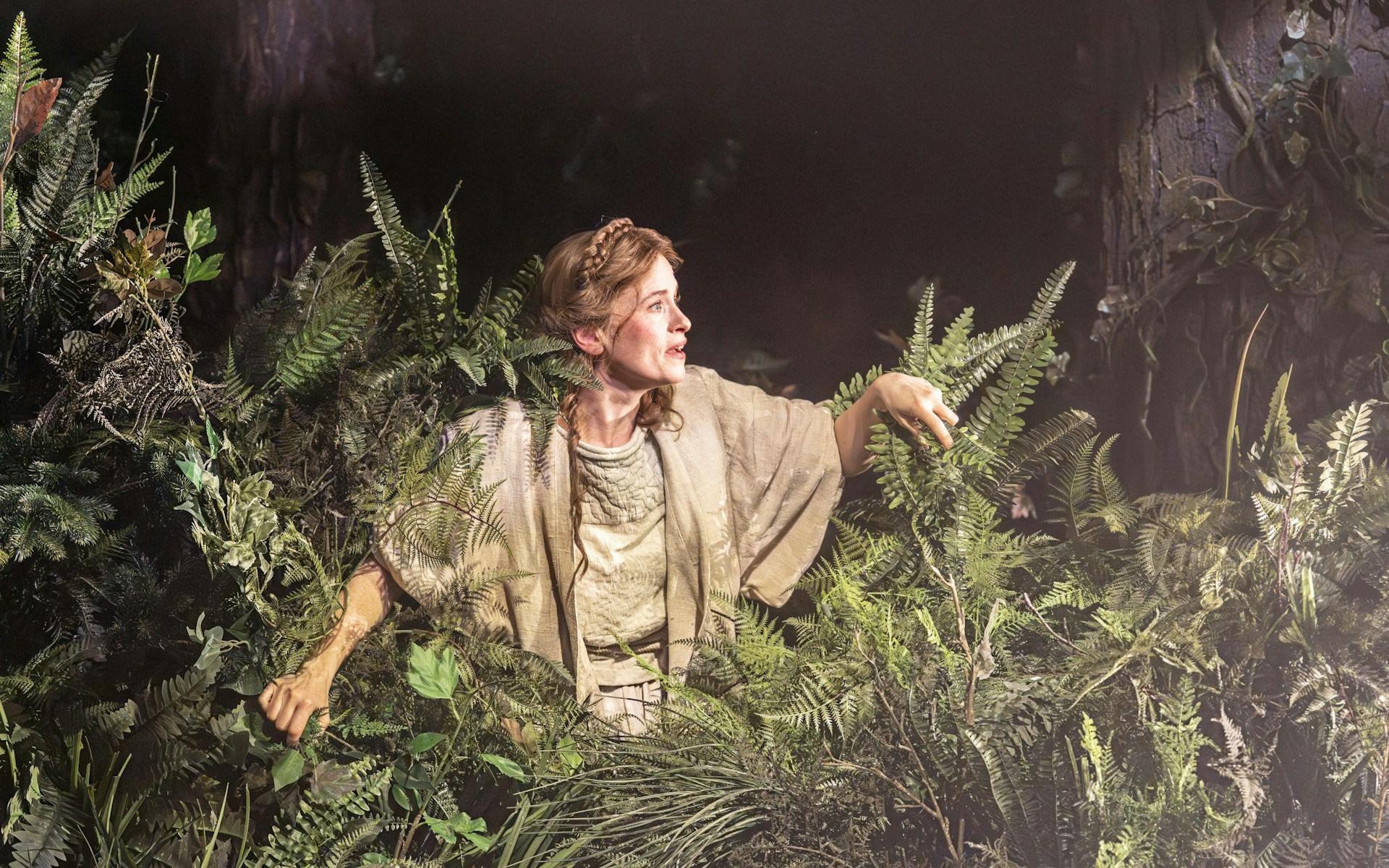Into the Woods — photo 1
