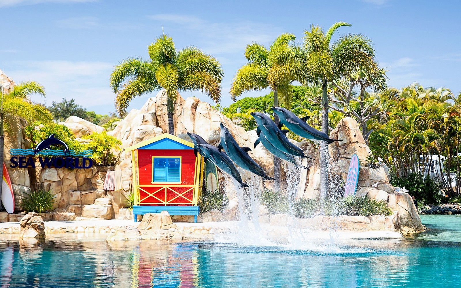 Hopo: Gold Coast Hop-on Hop-off Boat Tour — gallery 2