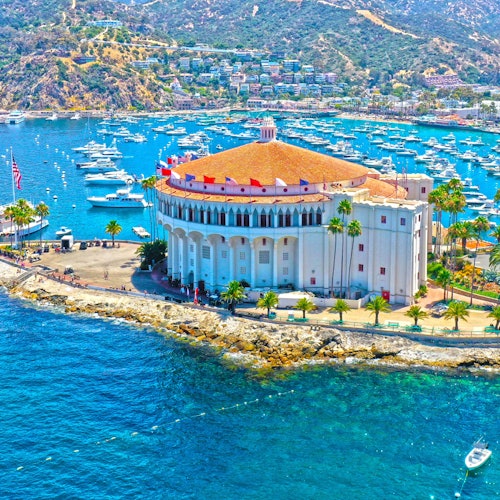 Catalina Island: Day Trip with Zipline Eco Tour — gallery 2
