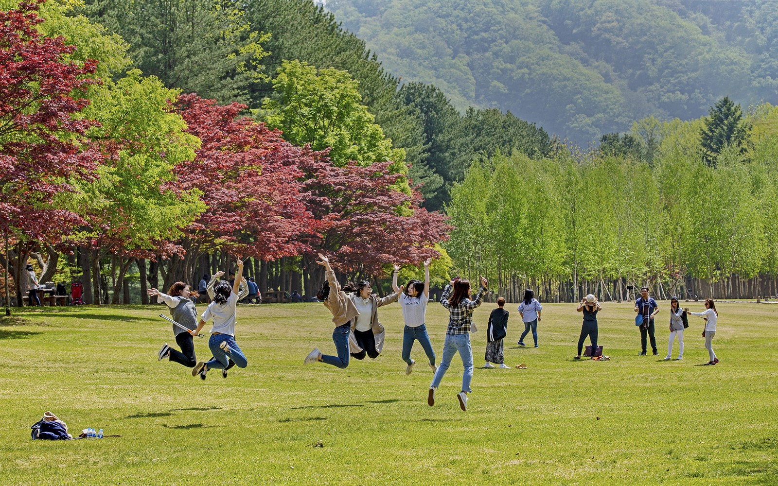 Nami Island Admission Ticket with Transfers