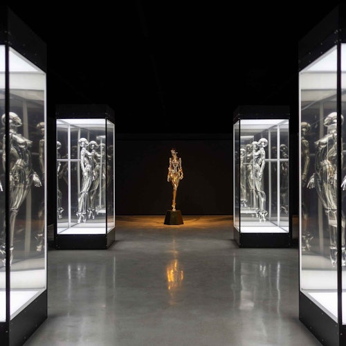 Museum of Sex: Entry Ticket — gallery 3