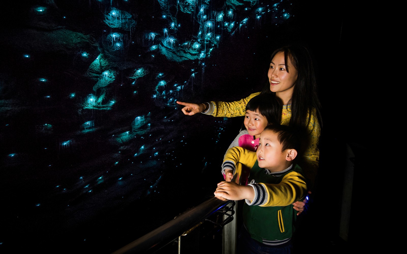 Waitomo Glowworm Caves Guided Tour