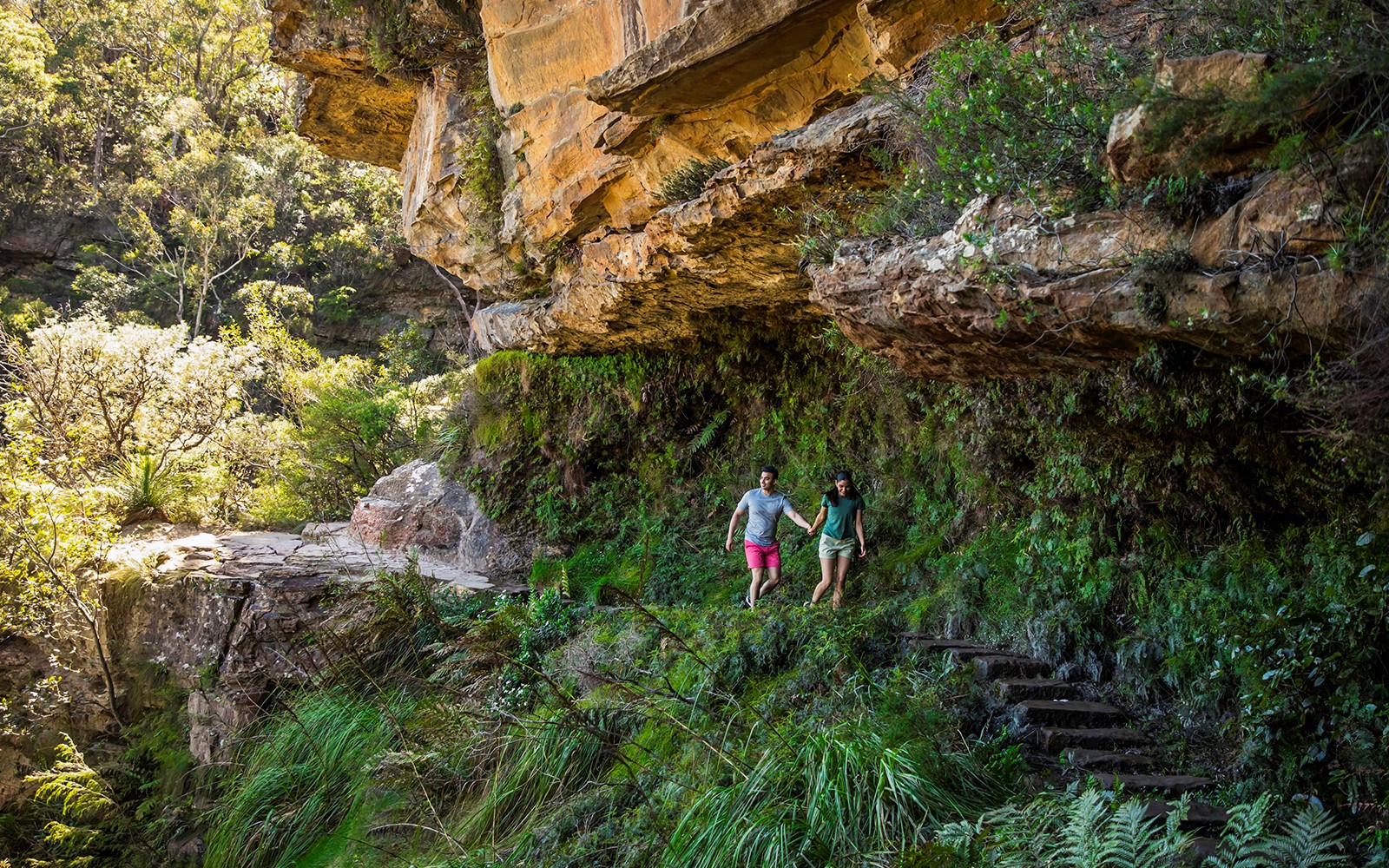 Blue Mountains Sunset Tour: Wentworth Falls Bushwalks, Wildlife & Lookouts