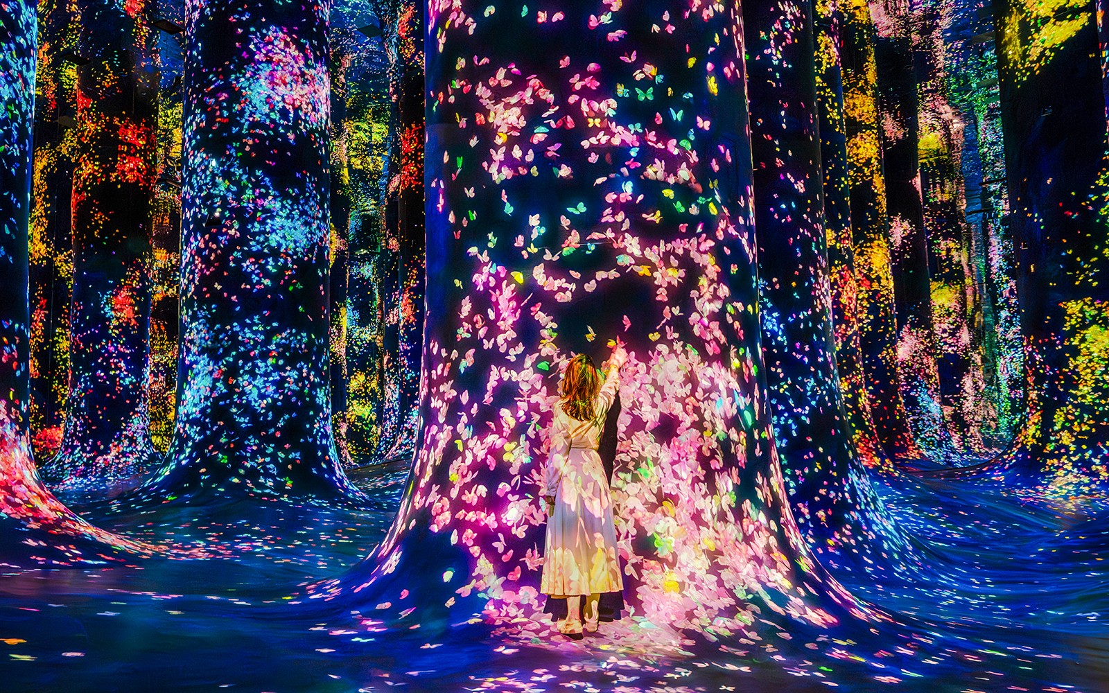 teamLab Phenomena Abu Dhabi Tickets