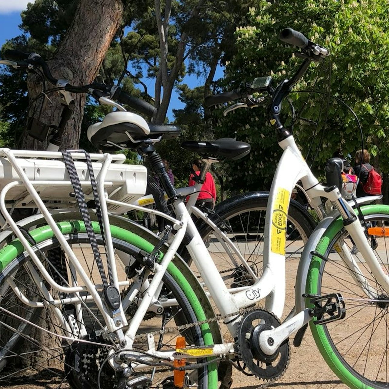 Madrid: Golden Triangle of Art & El Retiro Park Guided E-Bike Tour — gallery 3