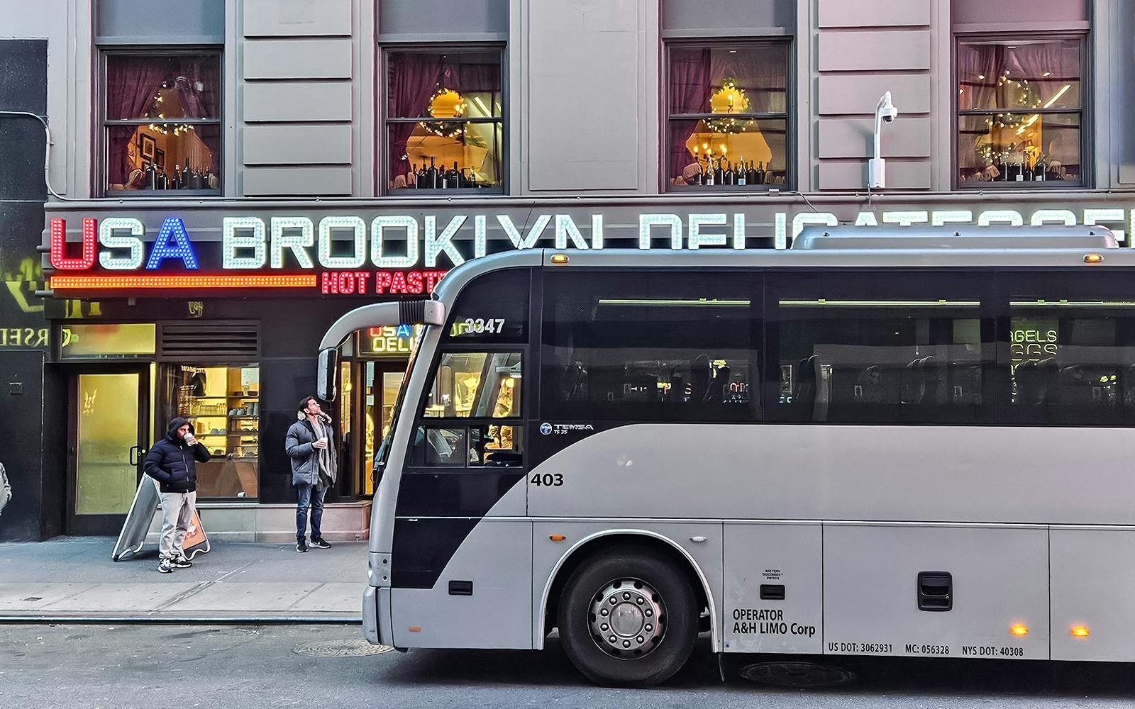 Dyker Heights Christmas Lights Tours: Bus or Walking - venue or experience setting