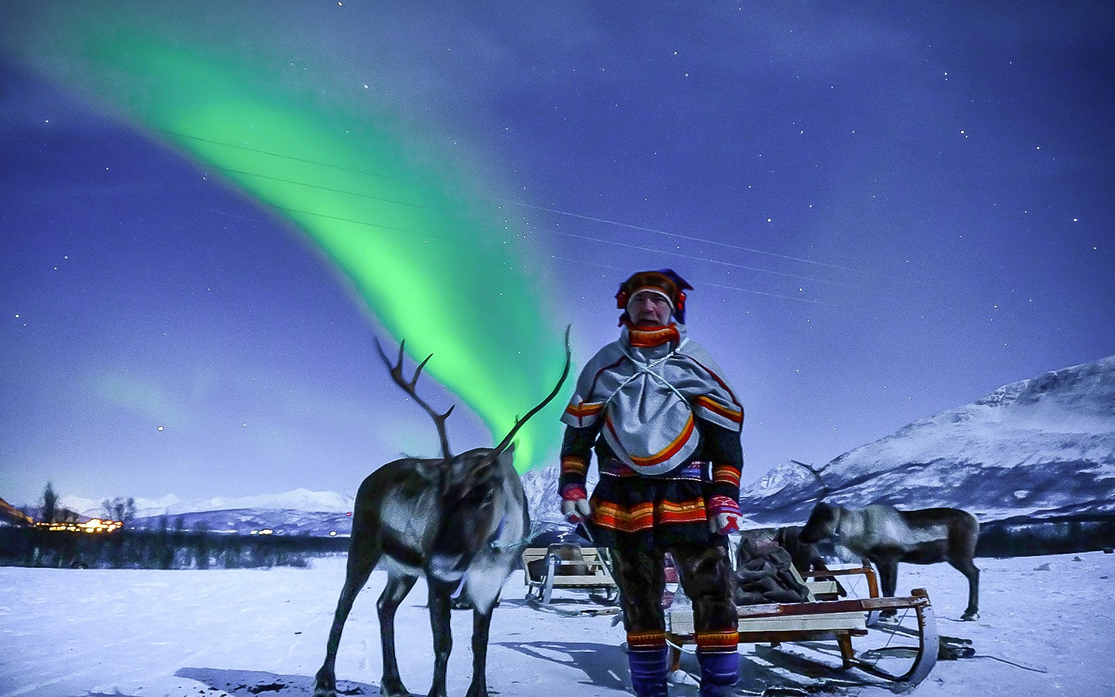 From Tromso: Reindeer Feeding Guided Tour with Chance of Northern Lights — gallery 3