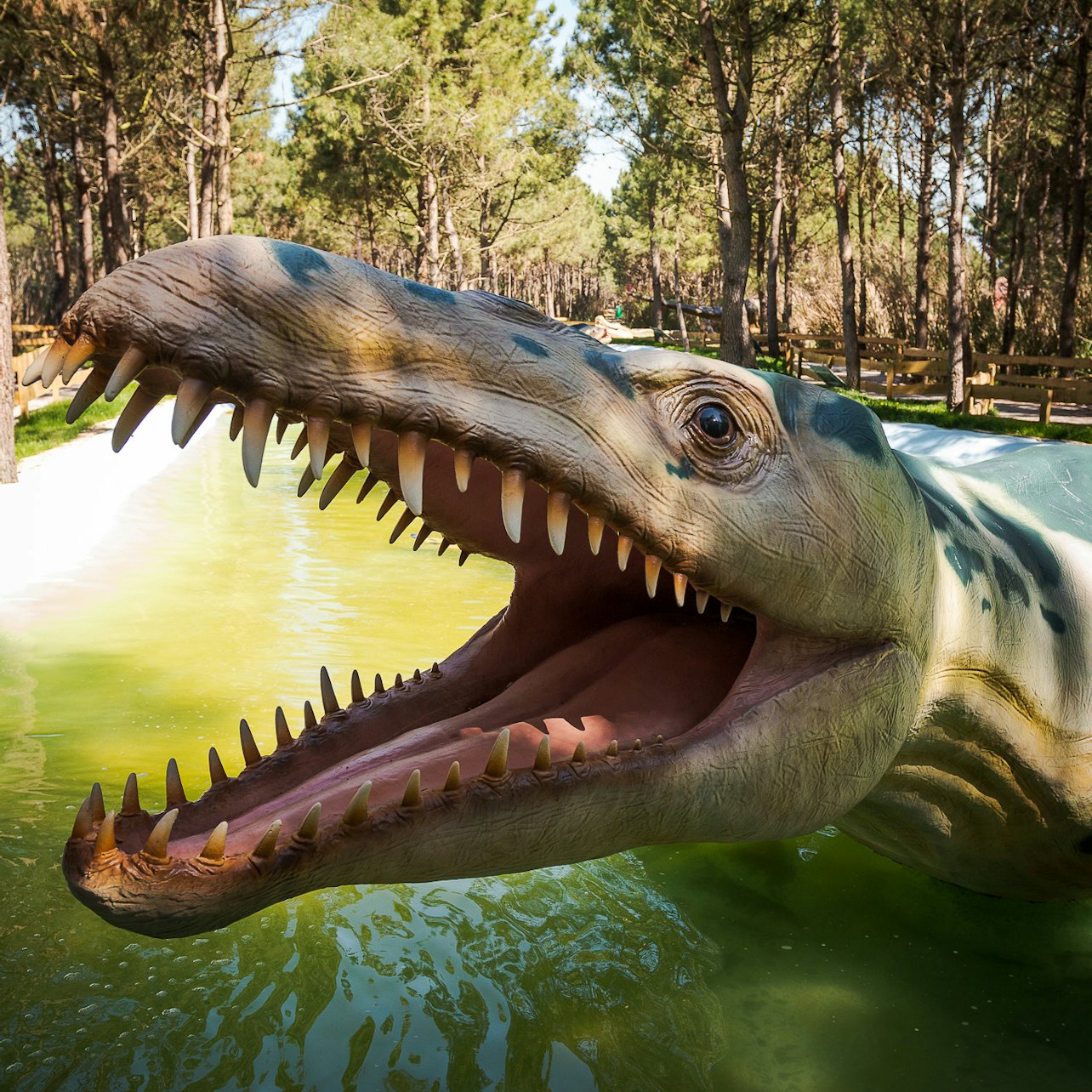 Dino Parque Lourinhã: Entry Ticket