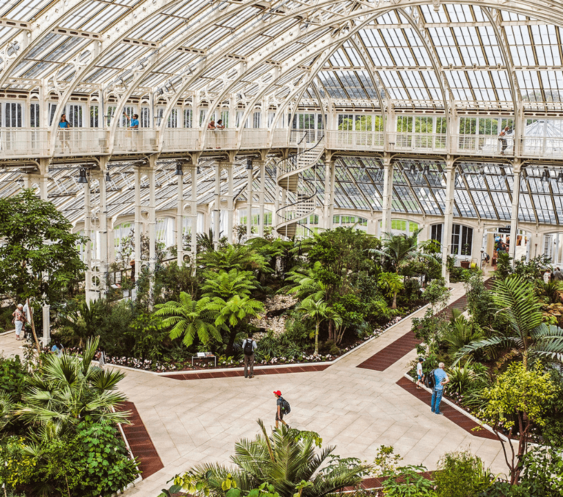 Kew Gardens: Entry Ticket