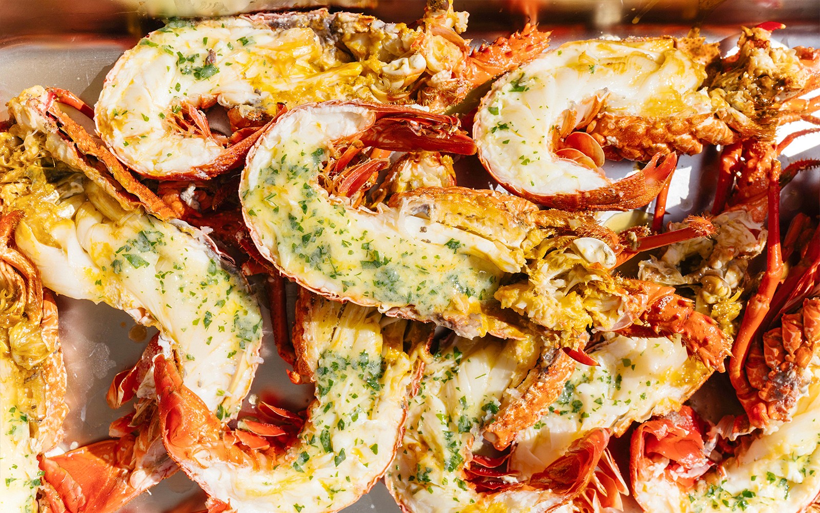 Rottnest Island Luxe Seafood Cruise — gallery 1