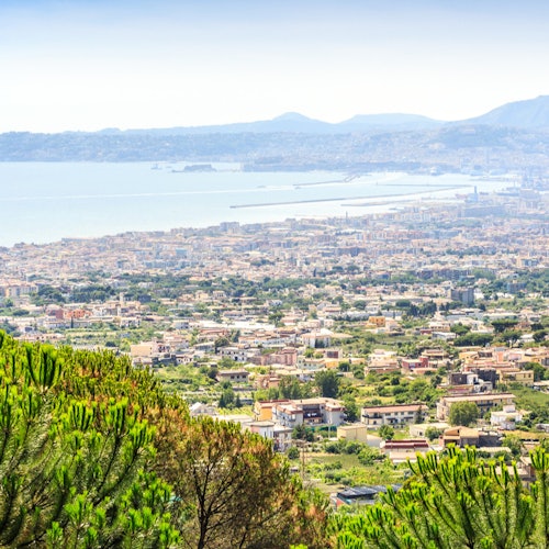Mount Vesuvius: Entry Ticket + Guidebook — gallery 1