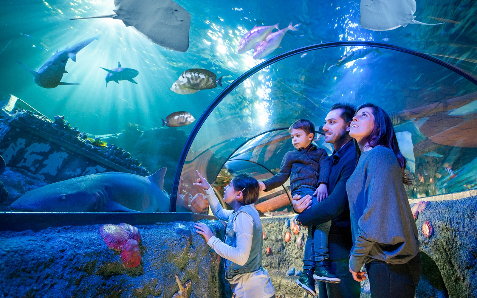 Gardaland Sea Life Aquarium Entry Tickets — gallery 1