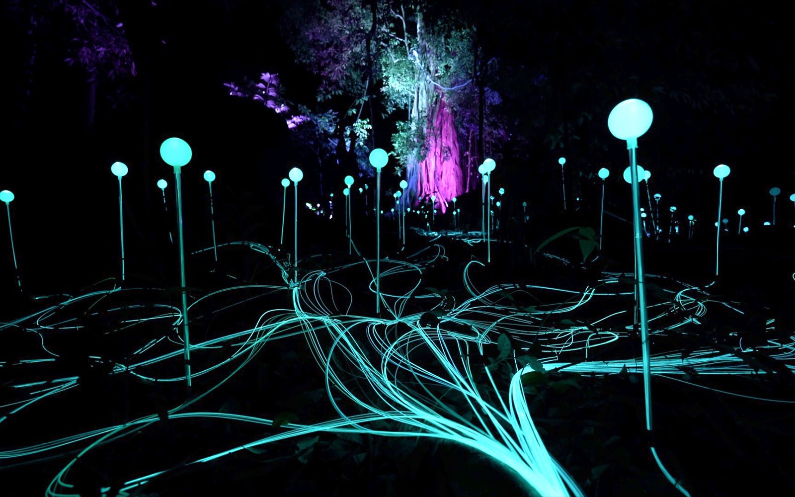 Dream Forest Langkawi Tickets