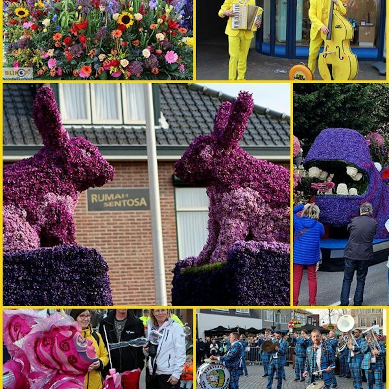 Keukenhof & Flower Parade: Entry Ticket + Transport