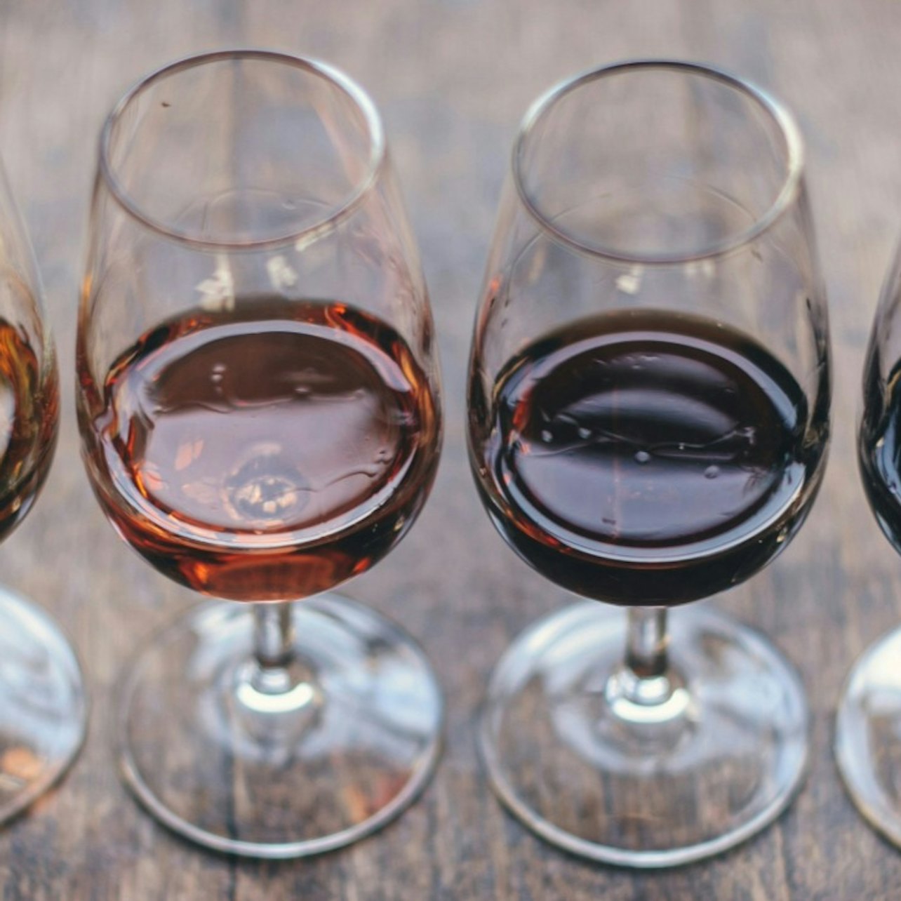 Madrid: Guided Wine, Tapas, and Olive Oil Tasting Experience — gallery 1