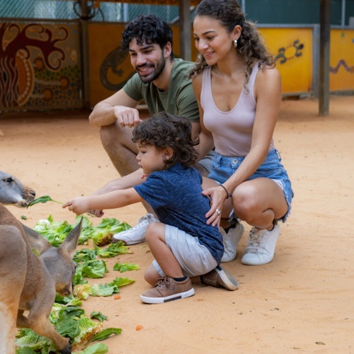 San Antonio Zoo Flexible Any-Day Entry Ticket