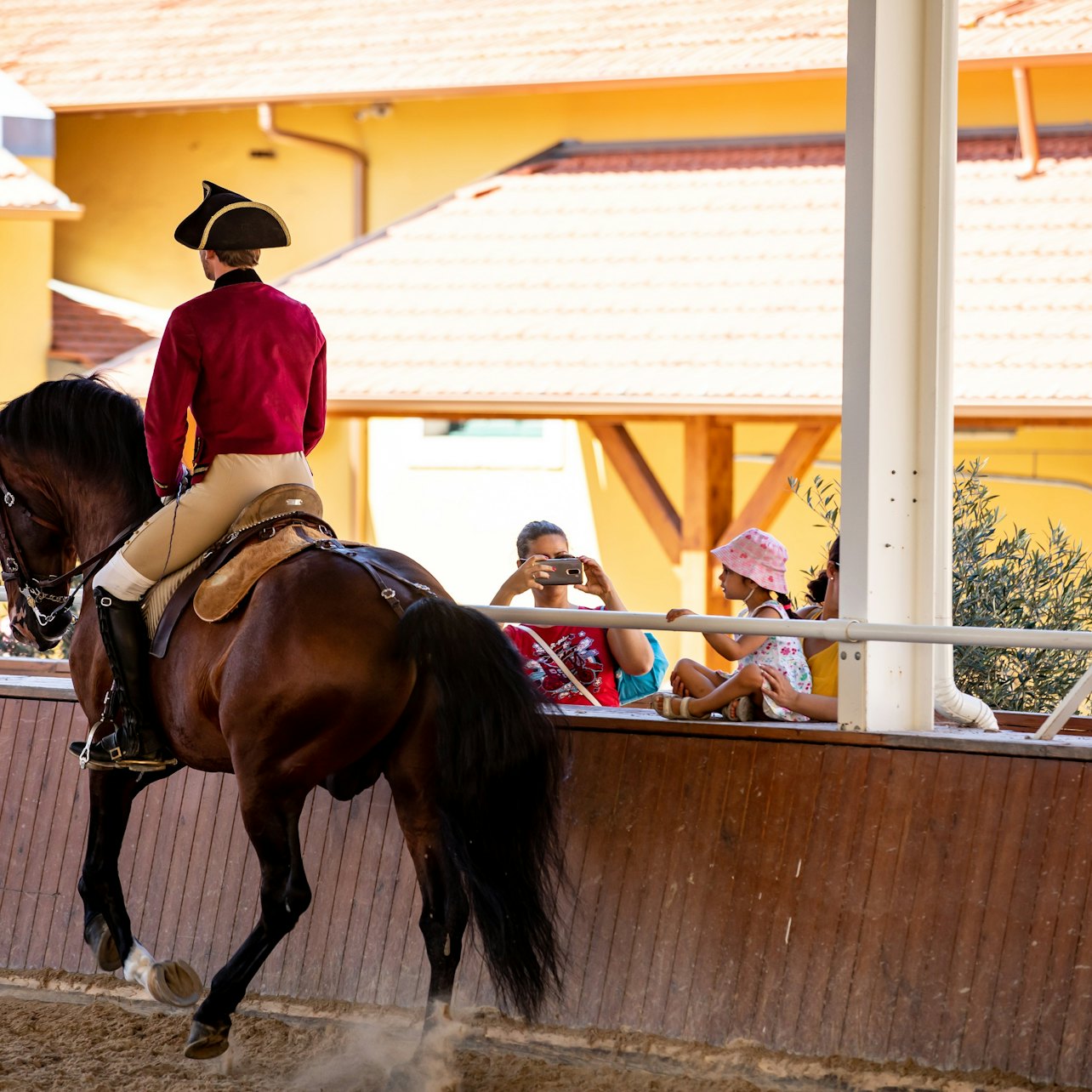 Portuguese School of Equestrian Art
