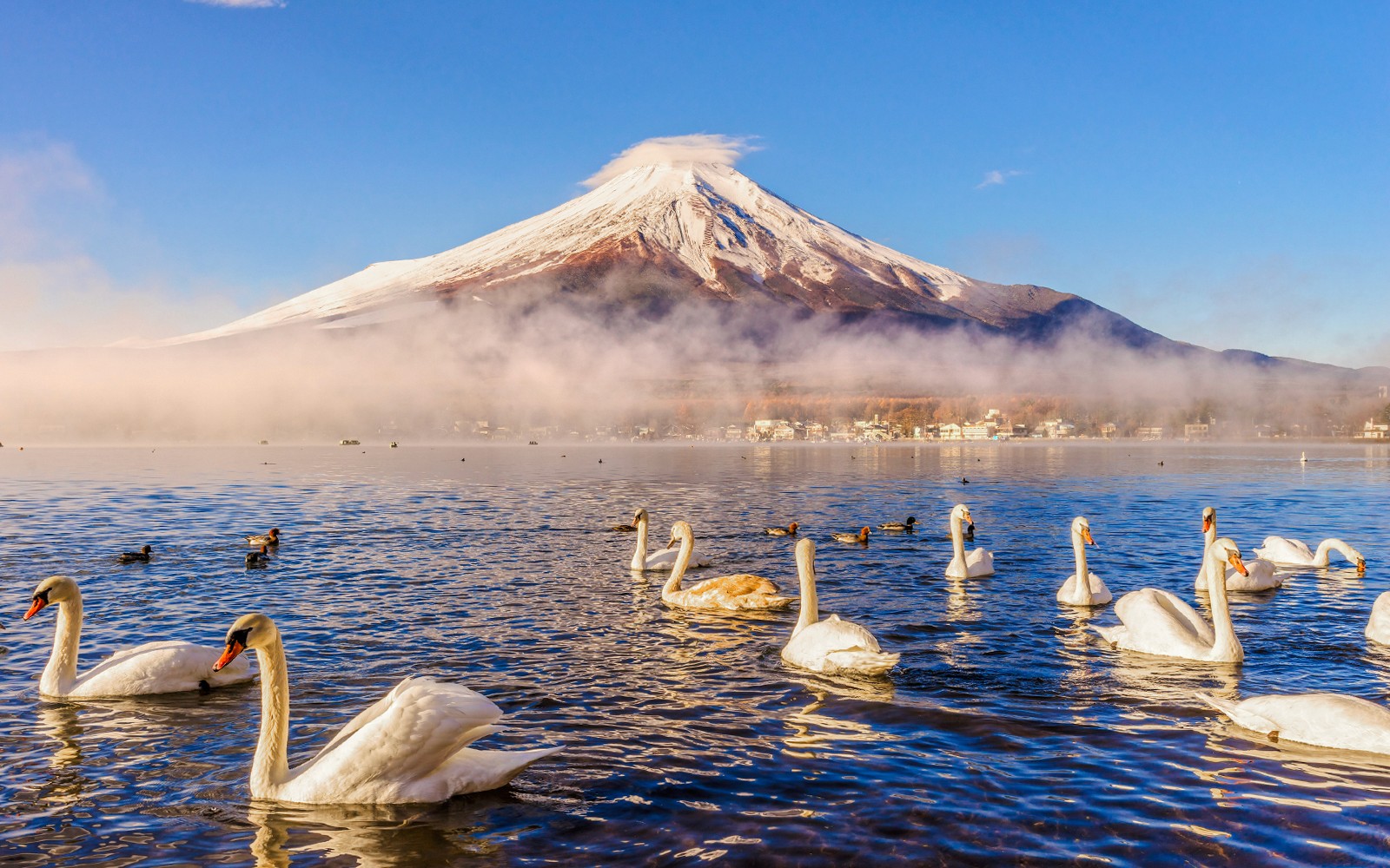Mount Fuji Guided Day Tour with Lake Kawaguchi & Lake Yamanaka